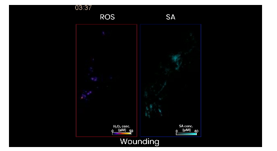 屏幕截圖 2025-11-30 230015.png