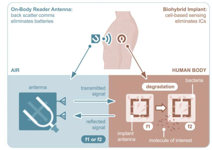 屏幕截圖 2025-12-16 145402.png